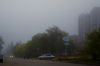 IMGP0620-2.jpg