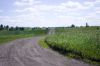 IMGP7078.jpg