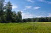 IMGP8400-5.jpg