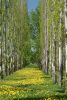 _IGP8261_DxO.jpg