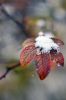 DSC_1773.jpg