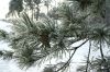 DSC00169.JPG
