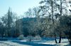 DSC00835.jpg