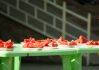 DSC01310.jpg