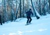 DSC01605.jpg
