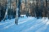 DSC01608.jpg