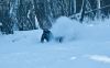 DSC01616.jpg