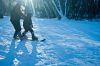 DSC01680.jpg
