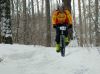 DSC02216.jpg