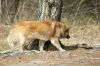 DSC05042.JPG