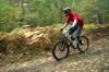 DSC05718~0.JPG
