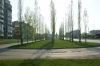 DSC05869.JPG