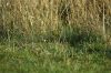 DSC05904.JPG