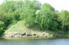 DSC07089.JPG