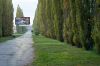 DSC08254.JPG