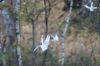 DSC09071.JPG