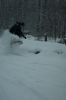 DSC09648.JPG