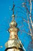DSC09961.JPG