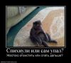 x_1035a4bd.jpg
