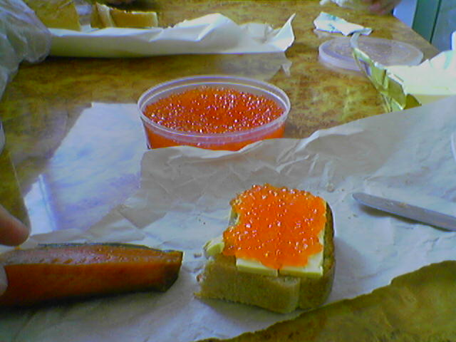 060425_131523.jpg