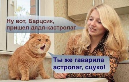 1177223799_01.jpg