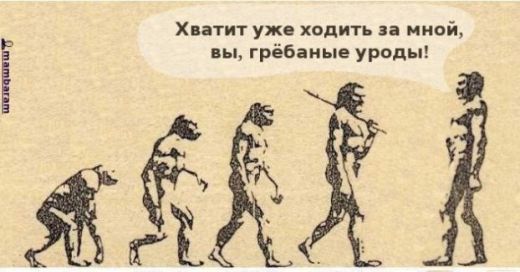 1_1188974343_pic.jpg
