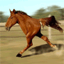 61854_vs.gif
