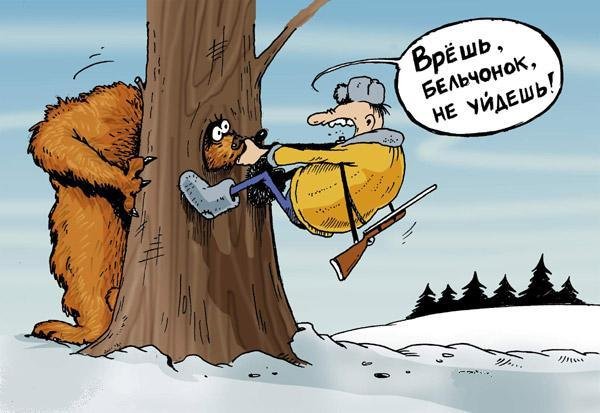 7814797_belko.jpg