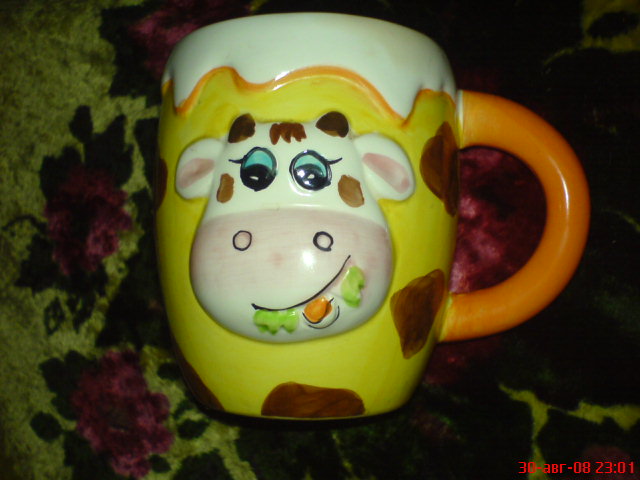 dsc00558.jpg