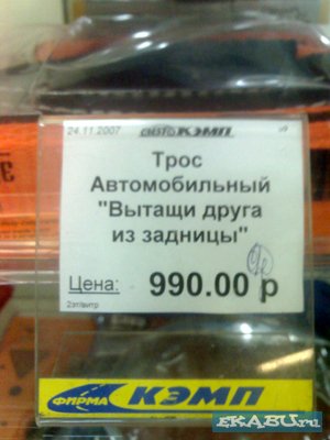 opt1207155395x.jpg