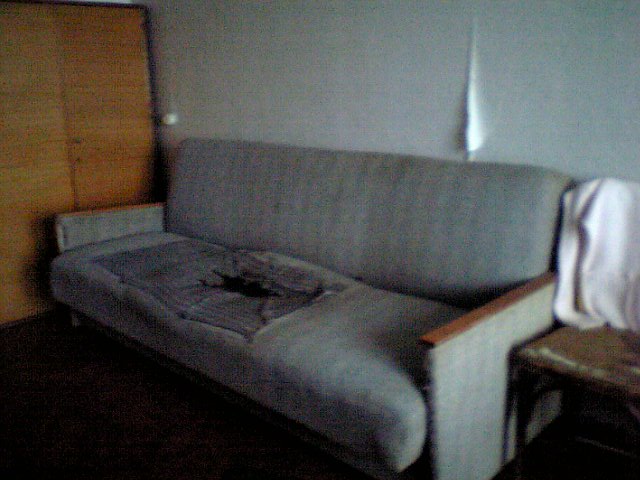 picture00065.jpg