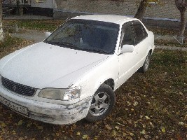 2012-10-11_11.05.45.jpg