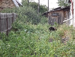 dscf8707.jpg
