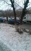imag0049.jpg